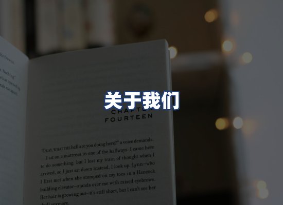 关于我们